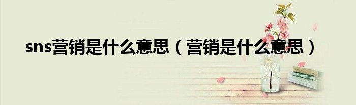 sns营销是什么意思（营销是什么意思）