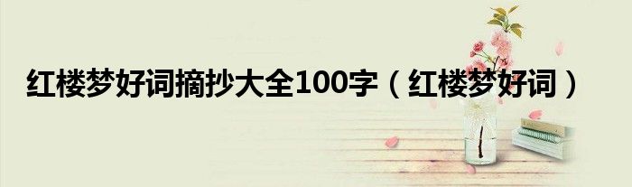 红楼梦好词摘抄大全100字（红楼梦好词）