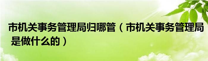 市机关事务管理局归哪管（市机关事务管理局 是做什么的）