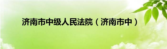 济南市中级人民法院（济南市中）