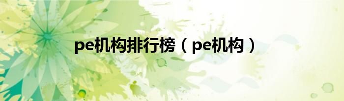 pe机构排行榜（pe机构）