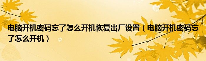 电脑开机密码忘了怎么开机恢复出厂设置（电脑开机密码忘了怎么开机）