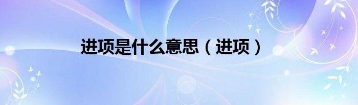 进项是什么意思（进项）