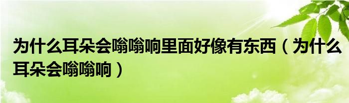 为什么耳朵会嗡嗡响里面好像有东西（为什么耳朵会嗡嗡响）