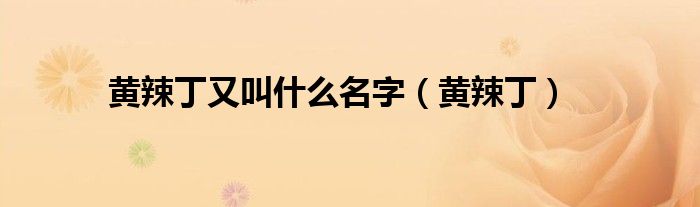 黄辣丁又叫什么名字（黄辣丁）