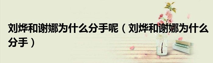 刘烨和谢娜为什么分手呢（刘烨和谢娜为什么分手）