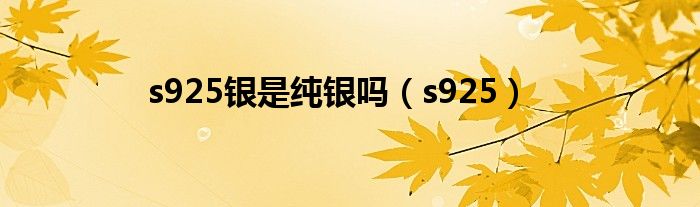s925银是纯银吗（s925）