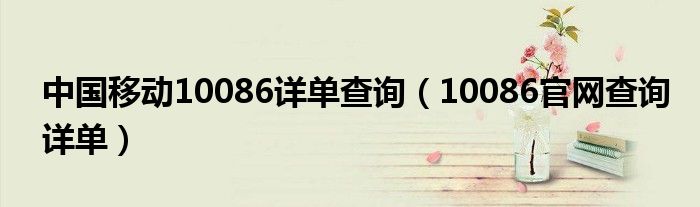 中国移动10086详单查询（10086官网查询详单）
