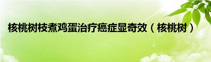 核桃树枝煮鸡蛋治疗癌症显奇效（核桃树）