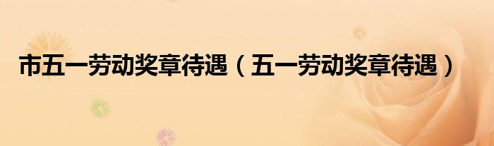 市五一劳动奖章待遇（五一劳动奖章待遇）