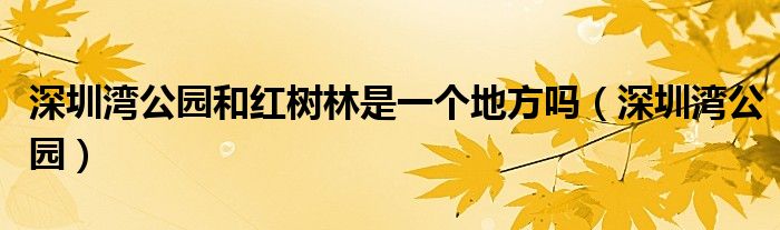 深圳湾公园和红树林是一个地方吗（深圳湾公园）