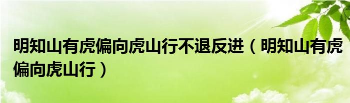 明知山有虎偏向虎山行不退反进（明知山有虎偏向虎山行）
