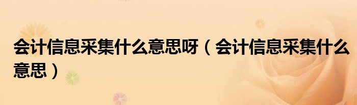会计信息采集什么意思呀（会计信息采集什么意思）