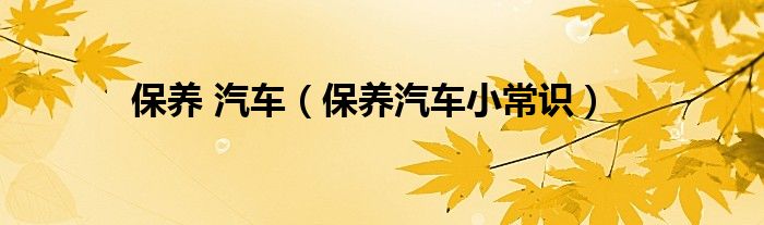 保养 汽车（保养汽车小常识）