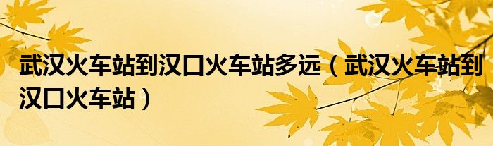 武汉火车站到汉口火车站多远（武汉火车站到汉口火车站）
