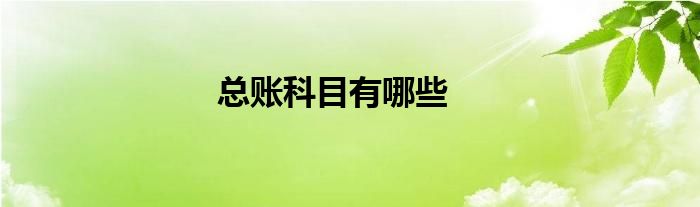 总账科目有哪些