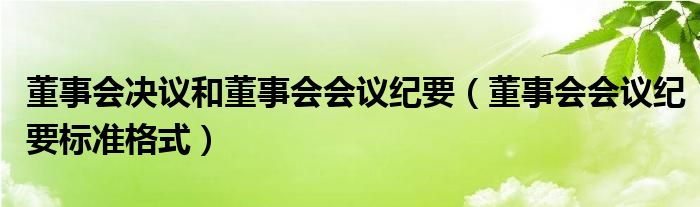 董事会决议和董事会会议纪要（董事会会议纪要标准格式）