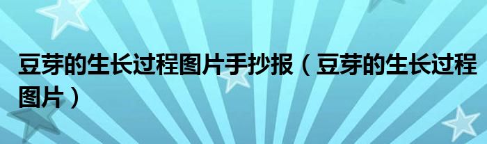 豆芽的生长过程图片手抄报（豆芽的生长过程图片）