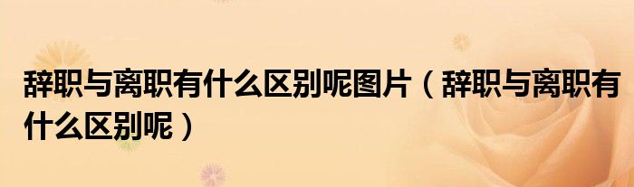 辞职与离职有什么区别呢图片（辞职与离职有什么区别呢）