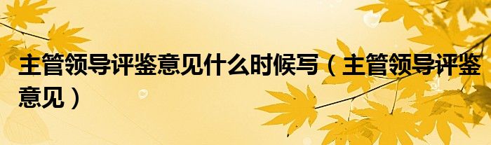 主管领导评鉴意见什么时候写（主管领导评鉴意见）