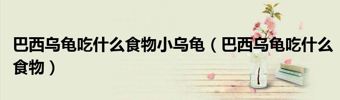 巴西乌龟吃什么食物小乌龟（巴西乌龟吃什么食物）