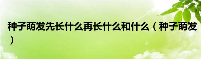 种子萌发先长什么再长什么和什么（种子萌发）