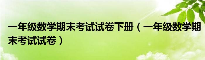 一年级数学期末考试试卷下册（一年级数学期末考试试卷）
