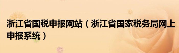 浙江省国税申报网站（浙江省国家税务局网上申报系统）