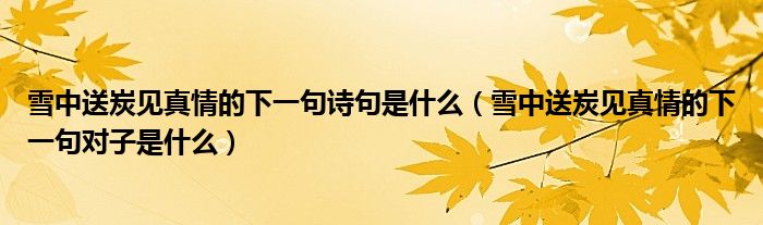 雪中送炭见真情的下一句诗句是什么（雪中送炭见真情的下一句对子是什么）