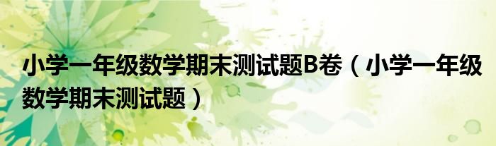 小学一年级数学期末测试题B卷（小学一年级数学期末测试题）