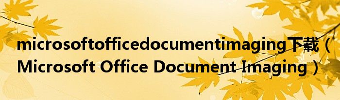 microsoftofficedocumentimaging下载（Microsoft Office Document Imaging）