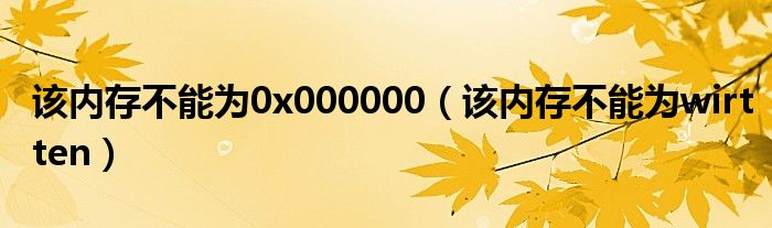 该内存不能为0x000000（该内存不能为wirtten）