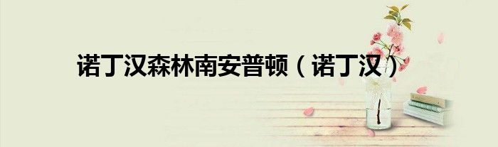 诺丁汉森林南安普顿（诺丁汉）
