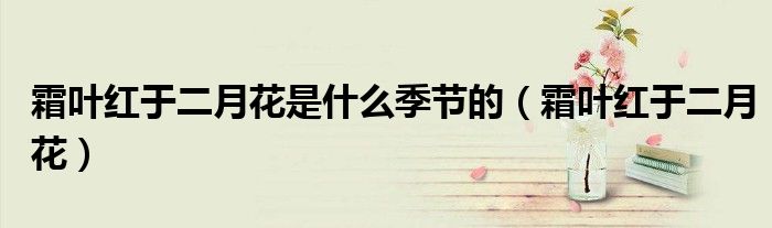 霜叶红于二月花是什么季节的（霜叶红于二月花）