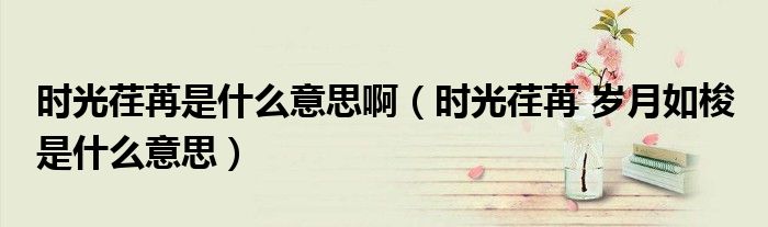 时光荏苒是什么意思啊（时光荏苒 岁月如梭 是什么意思）