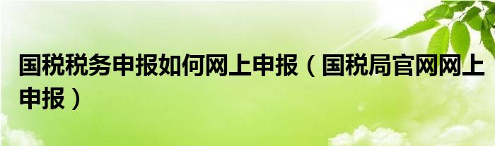 国税税务申报如何网上申报（国税局官网网上申报）