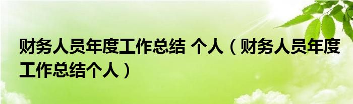 财务人员年度工作总结 个人（财务人员年度工作总结个人）