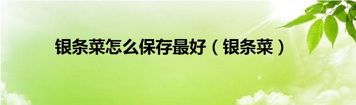 银条菜怎么保存最好（银条菜）