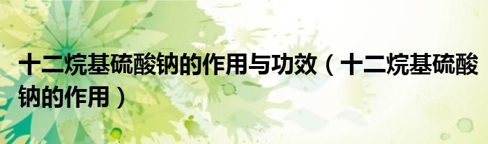 十二烷基硫酸钠的作用与功效（十二烷基硫酸钠的作用）
