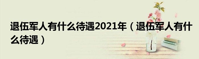 退伍军人有什么待遇2021年（退伍军人有什么待遇）