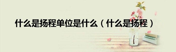 什么是扬程单位是什么（什么是扬程）