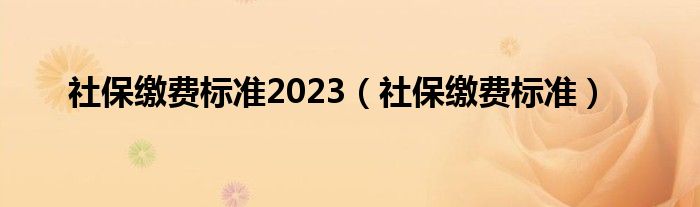 社保缴费标准2023（社保缴费标准）