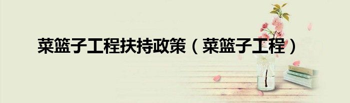 菜篮子工程扶持政策（菜篮子工程）