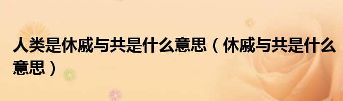 人类是休戚与共是什么意思（休戚与共是什么意思）