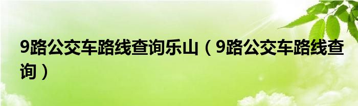 9路公交车路线查询乐山（9路公交车路线查询）