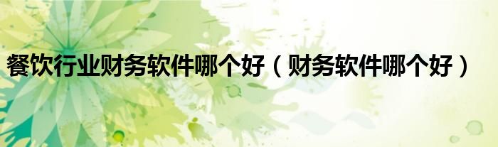 餐饮行业财务软件哪个好（财务软件哪个好）