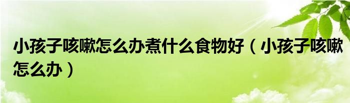 小孩子咳嗽怎么办煮什么食物好（小孩子咳嗽怎么办）