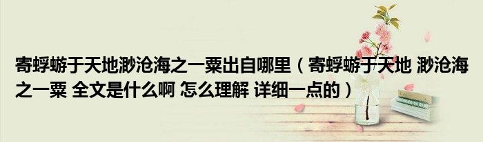 寄蜉蝣于天地渺沧海之一粟出自哪里（寄蜉蝣于天地 渺沧海之一粟 全文是什么啊 怎么理解 详细一点的）