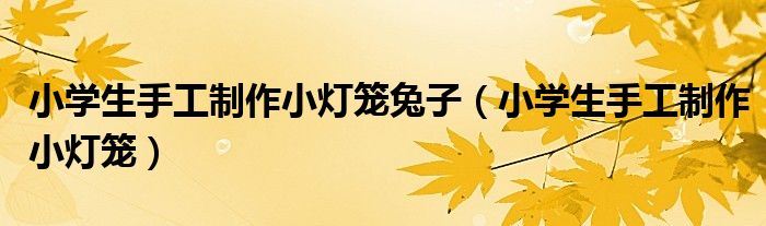 小学生手工制作小灯笼兔子（小学生手工制作小灯笼）