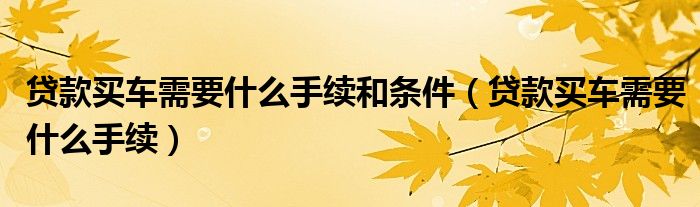 贷款买车需要什么手续和条件（贷款买车需要什么手续）